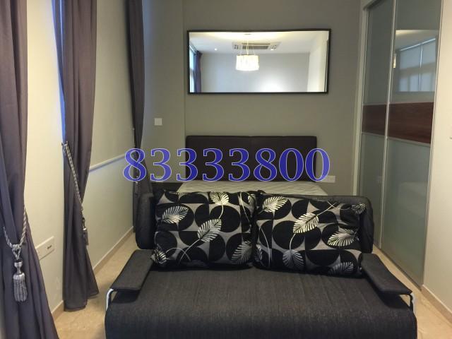 Dunearn Suites (D11), Apartment #114339552